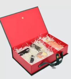 Sapphire Plastic Products Manufacturing LLC