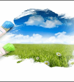 CITY PAINTS TRADING & CONTRACTING
