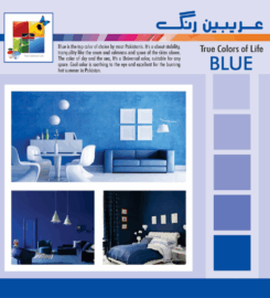 Arabian Paints FZC