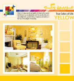 Arabian Paints FZC